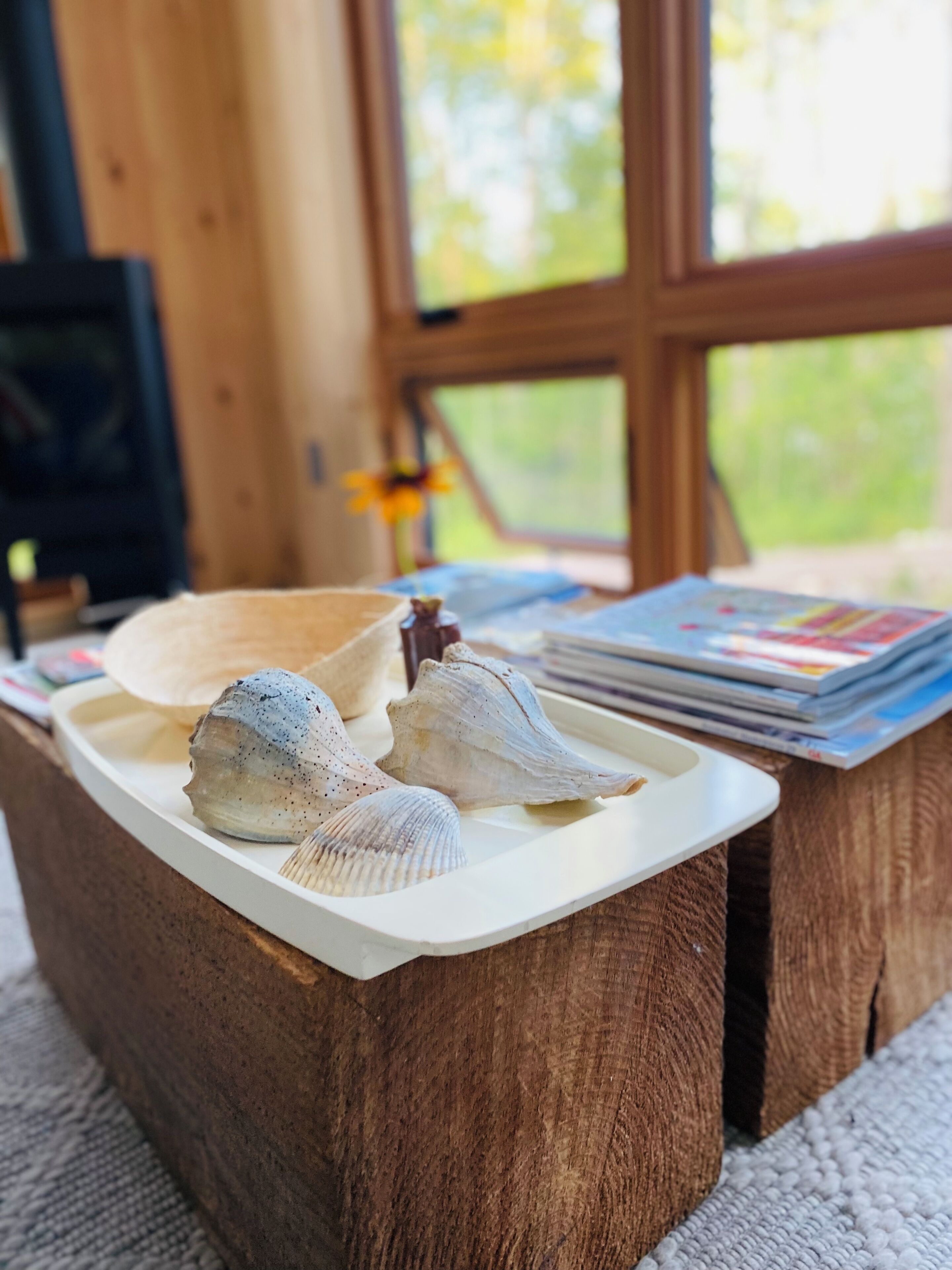 A wooden table with seashells and magazines.