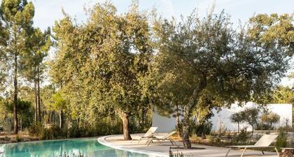 Deluxe Comporta Mundo