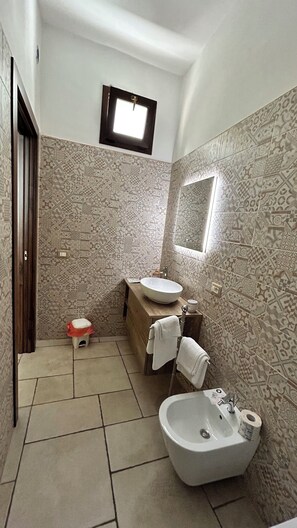 Shower, hair dryer, bidet, towels