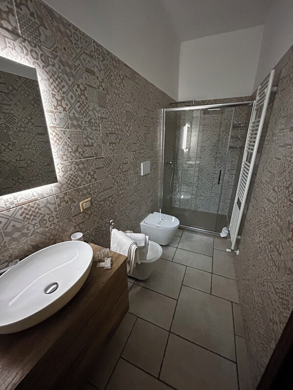 Shower, hair dryer, bidet, towels