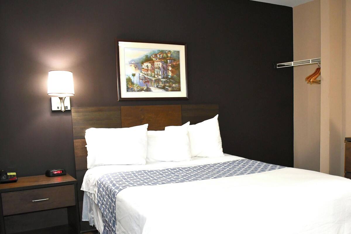 Quarto de hotel com cama, televisão, pintura, mesa de cabeceira e luminária.