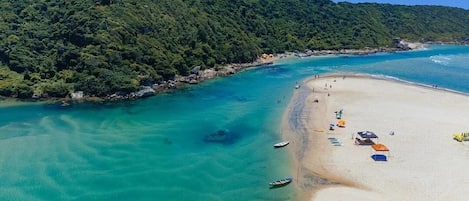 海灘