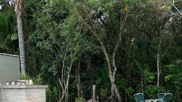 A swimming pool with a stone deck, surrounded by lush greenery and a stone wall. - 4-bedroom house in delightful Riviera, 15 minute walk to the beach and the mall. (Bertioga)