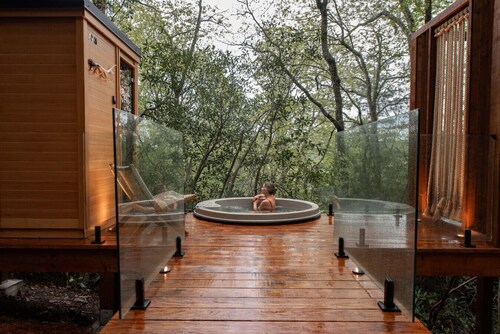 Hide Inn Seek | Bird Nest Treehouse