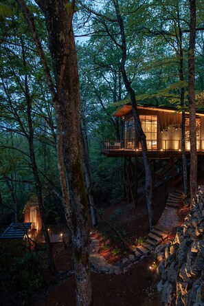 Exterior - Hide Inn Seek | Bird Nest Treehouse (Highlands)