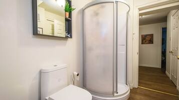 Regadera, secadora de cabello, toallas, papel de baño