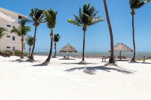 Property grounds - Oceans 23 (San Pedro)