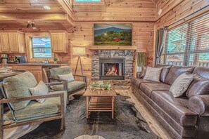 Smart TV, fireplace, books