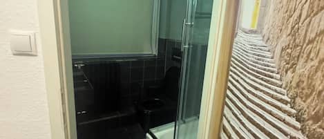 Shower, hair dryer, soap, toilet paper