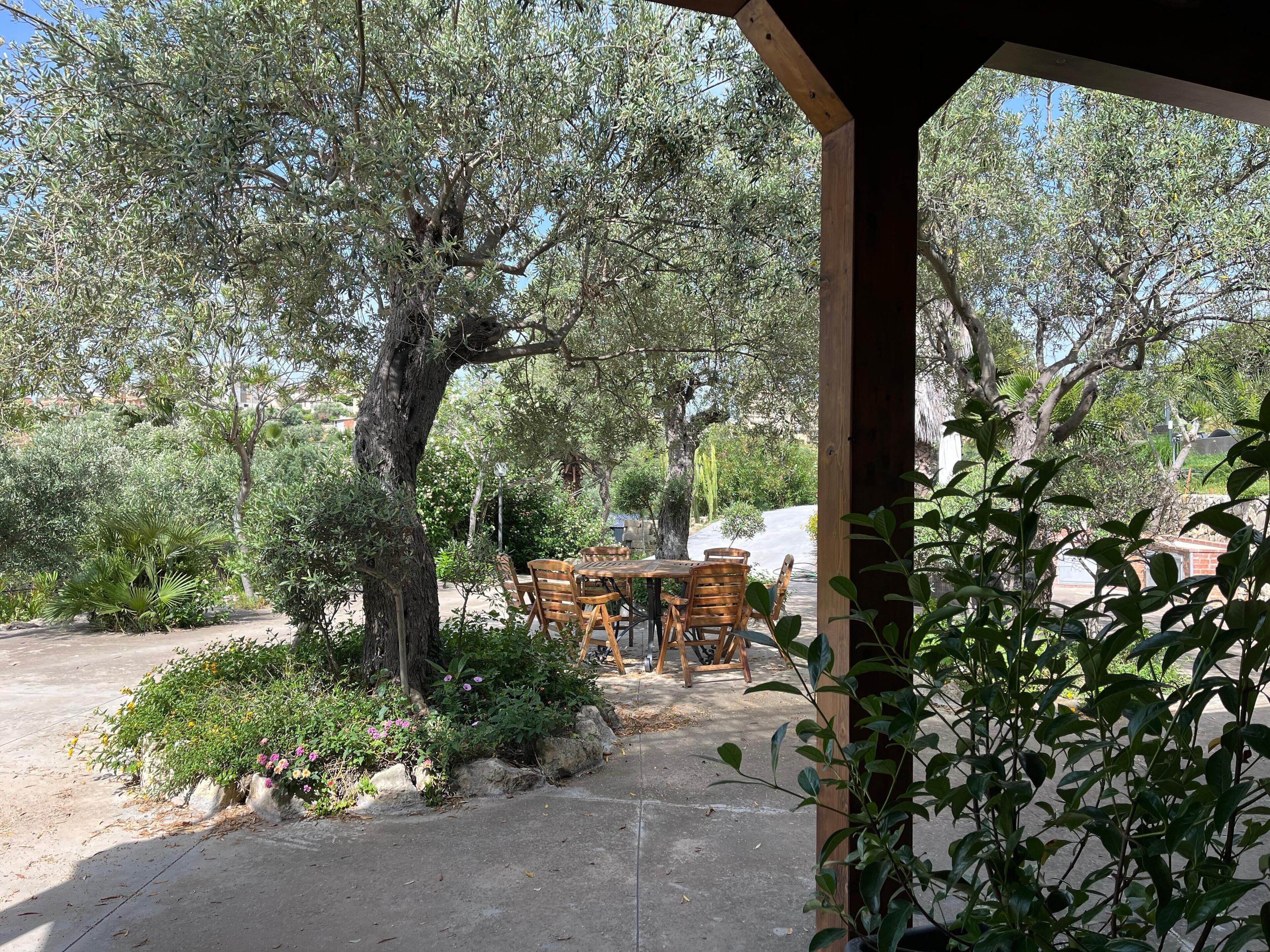 Classic Room, Garden View | View from room