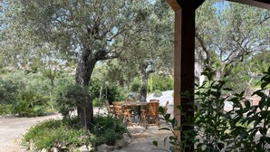 An outdoor seating area with wooden tables and chairs, surrounded by olive trees and various shrubs.