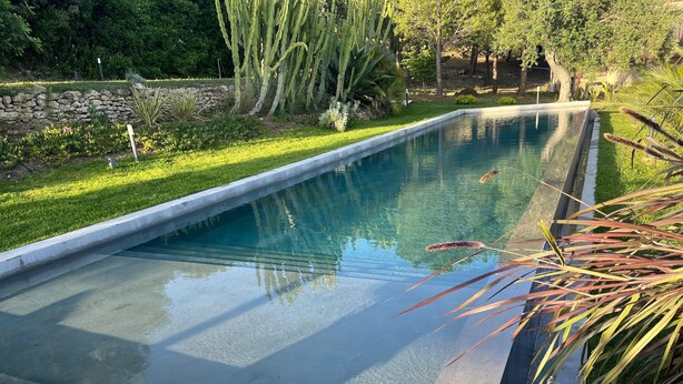 Piscina rectangular con agua cristalina, rodeada por un muro de piedra y abundante vegetación.