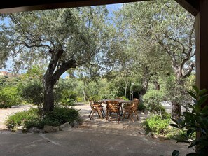 BBQ/picnic area