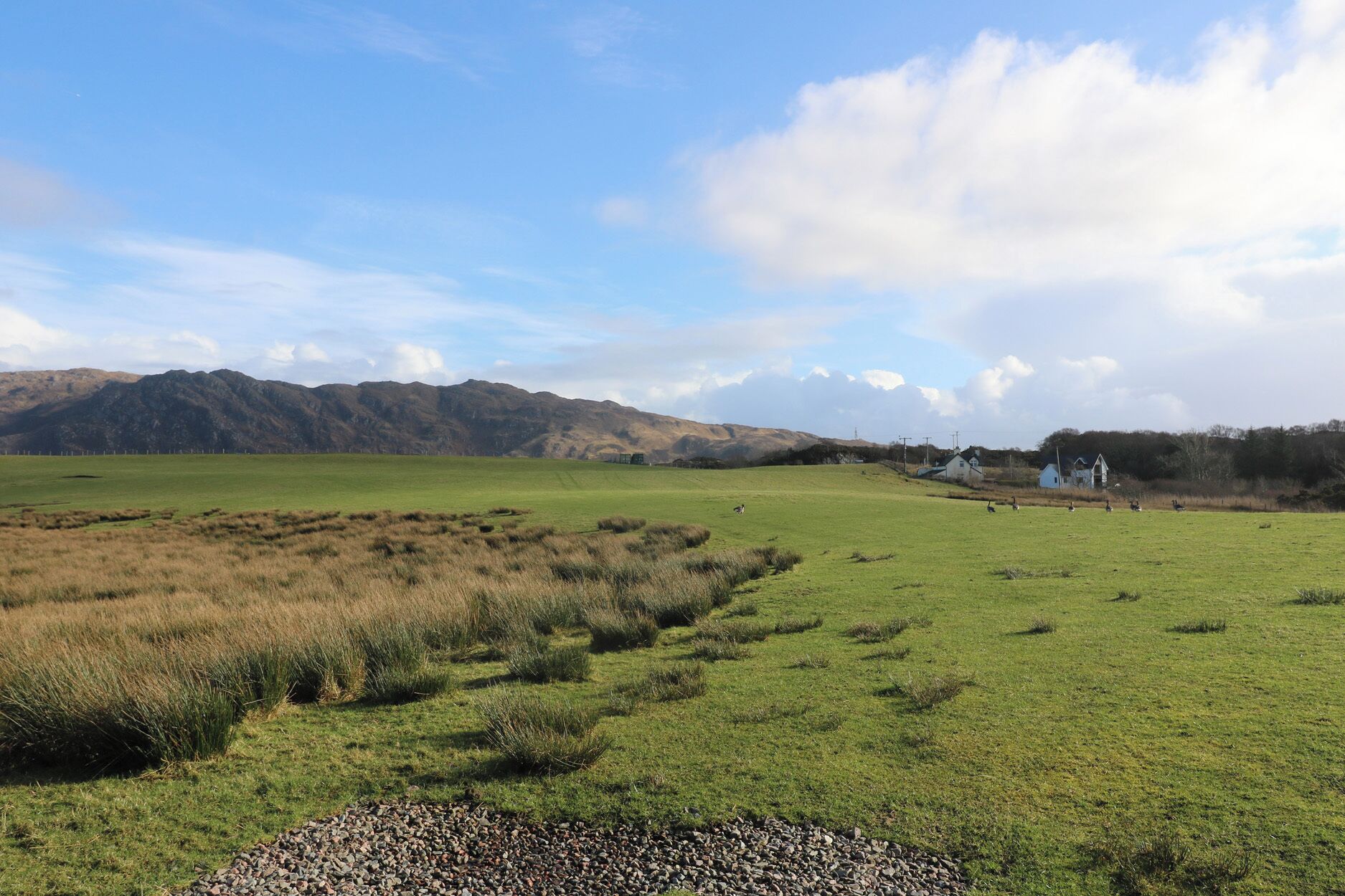 A rural landscape with a grassy field, a small cluster of houses, and mountains in the background.