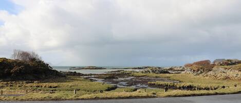 A coastal road with a grassy area and a rocky outcrop.
