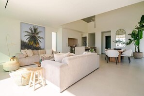 TV, fireplace, video games, books