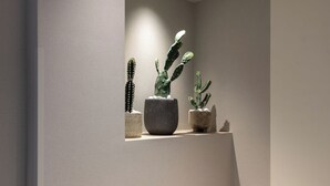 A modern interior with a minimalist staircase and a wall-mounted shelf holding three potted plants. - Urban-K (Athens)