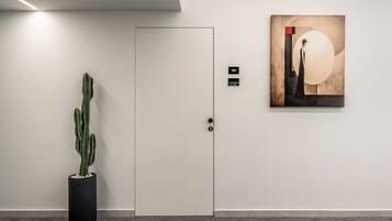 A modern interior with a white door, a cactus plant, and a framed abstract artwork on the wall.