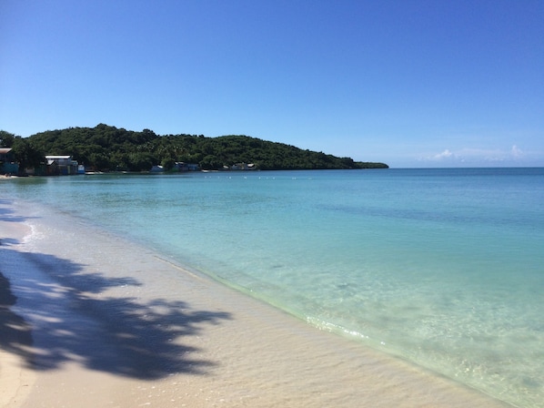 Una spiaggia con acqua cristallina turchese, una costa sabbiosa e una collina boscosa sullo sfondo.
