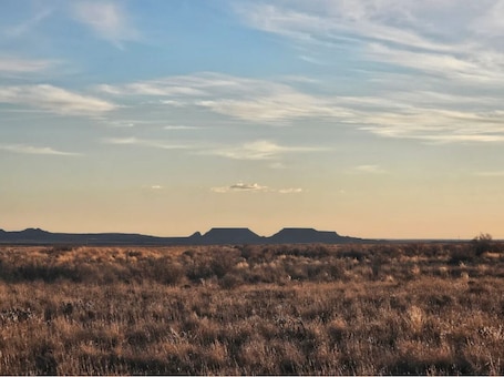 Miscellaneous. Site 4 off grid campsite near Petrified Forest
