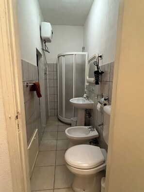 Shower, hair dryer, bidet, towels