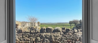Shepherd's Cottage - UK48872
