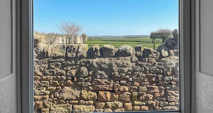 Shepherd's Cottage - UK48872