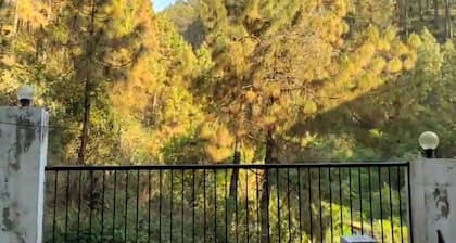 Cozy 1-bedroom apartment in charming Sukha with WiFi