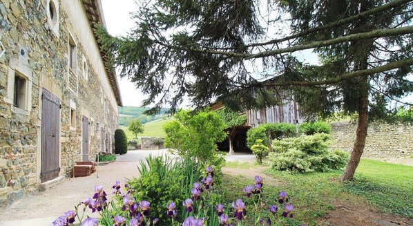 A stone building with a paved entrance, surrounded by greenery and trees.