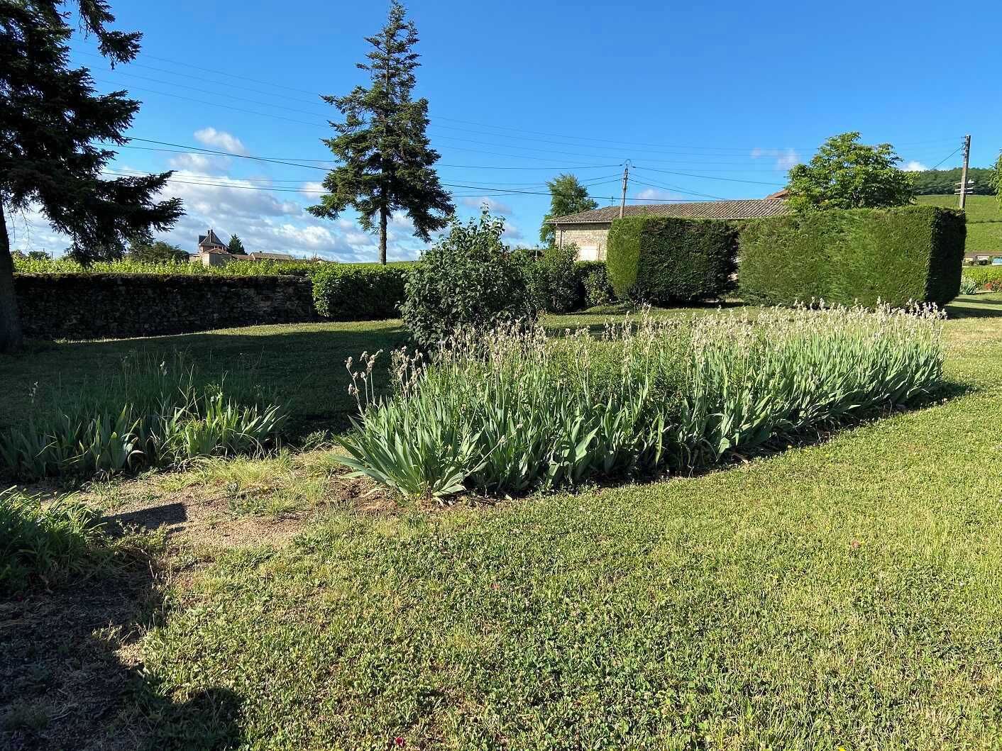 Un jardin bien entretenu, avec une grande variété de plantes et une pelouse soigneusement taillée.