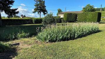 Un jardin bien entretenu, avec une grande variété de plantes et une pelouse soigneusement taillée.