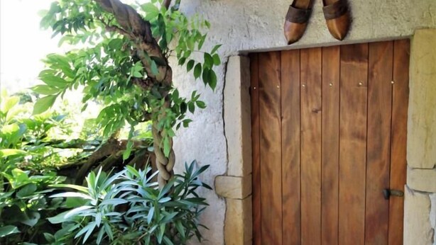 Uma porta de madeira rústica com uma parede de pedra e um vaso de planta ao lado.