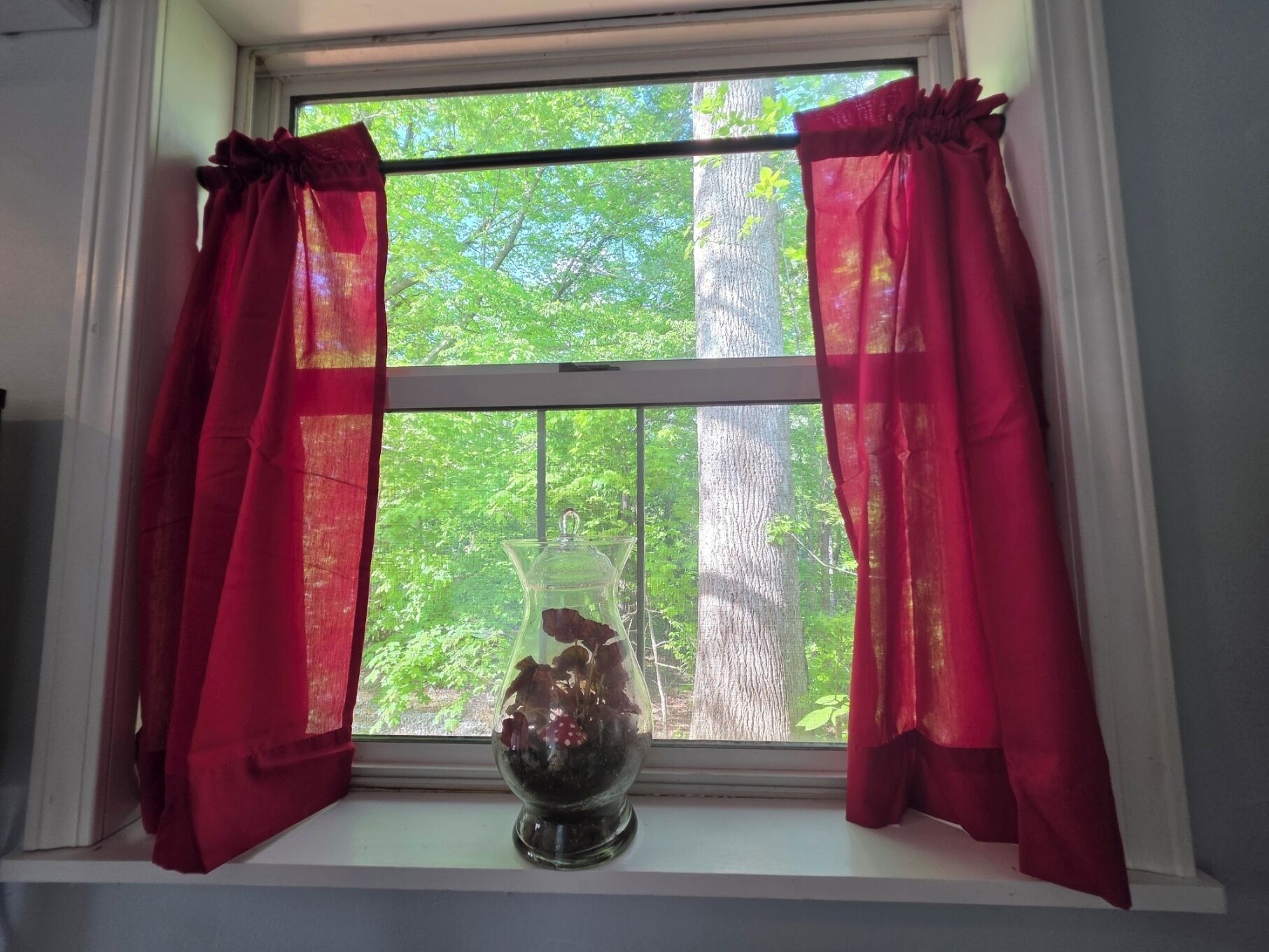 A window with red curtains, a clear view of trees outside, and a vase with flowers on the windowsill.