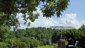 An outdoor patio area with a table and chairs, surrounded by lush greenery and a view of a forested hill. - Charming 1-bedroom cottage -- That tiny house on Center Hill Lake. Pet friendly! (Baxter)