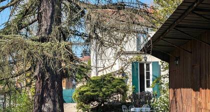 L'Albizia - VILLEFRANCHE-SUR-SAONE