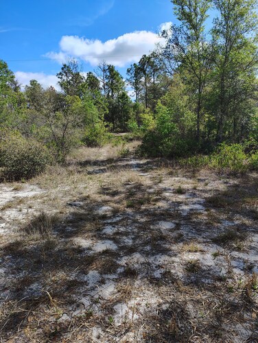 Soothing campground in Interlachen for a peaceful getaway