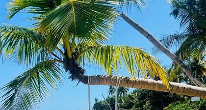 Amazing First Class Oceanfront Condo / The Perfect Getaway / Direct Beach Access