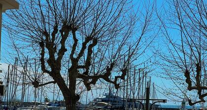 Golfe Juan - 2 personnes - Face au Vieux Port