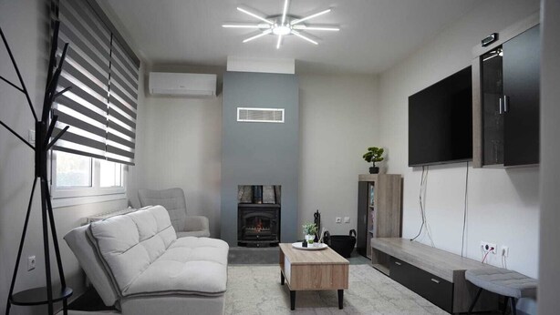 Ein modernes Wohnzimmer mit Sofa, Couchtisch, Kamin, Fernseher und einer Deckenleuchte.