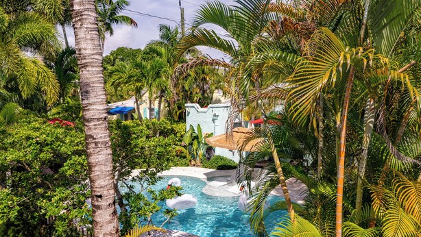 Een tropisch resort met een zwembad, omringd door weelderige begroeiing en palmbomen.