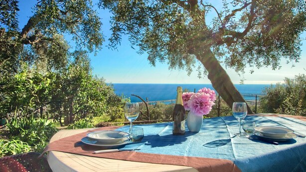 A table set for two with a bottle of wine, a vase of flowers, and a view of the sea. - Cottage with pool, A/C and wi fi (IMPERIA)