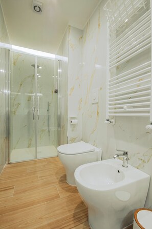 Shower, hair dryer, bidet, towels