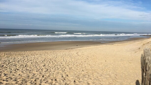 Beach - Océan et Forêt - VENSAC - Gîte (VENSAC)