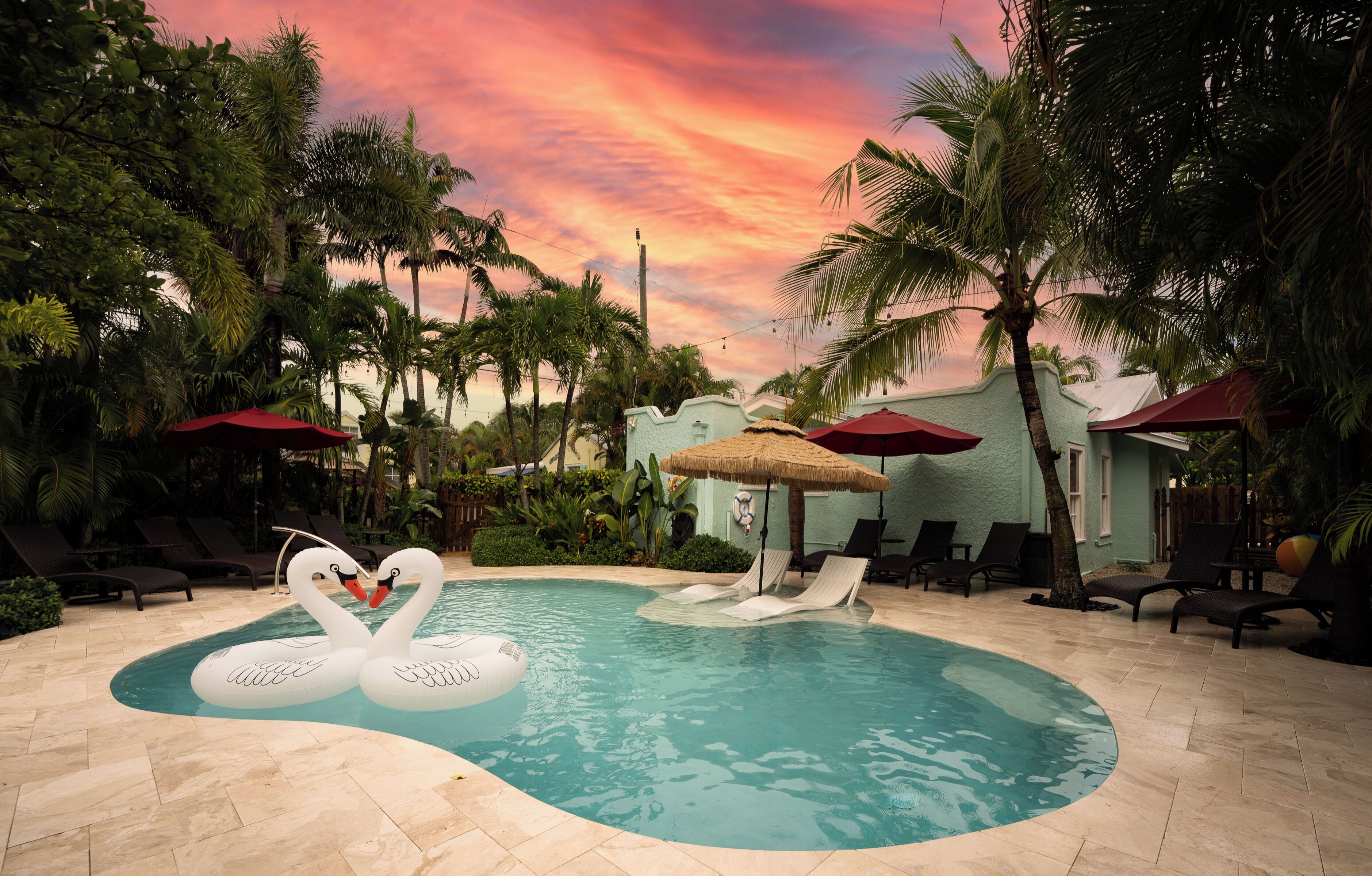 Una piscina con flotadores con forma de cisne, sillas de descanso y palmeras.