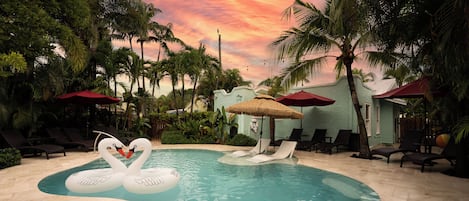 Una piscina con flotadores con forma de cisne, sillas de descanso y palmeras.