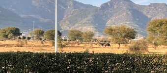 Spacious 9-bedroom villa with WiFi, AC in charming Islamabad
one meting hall.
