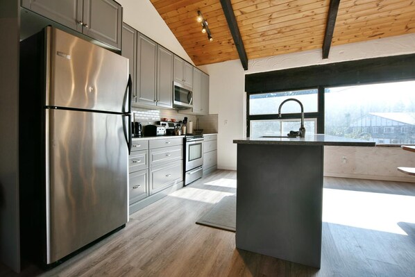 KĂŒhlschrank, Mikrowelle, Ofen, Herdplatte