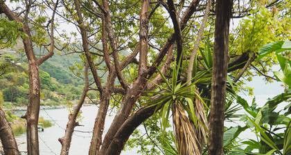 Marvelous brand new, lakefront 2-bedroom house with WiFi in Santa Cruz la Laguna