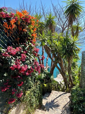 A stone pathway leading to a coastal area with lush greenery and flowering plants.