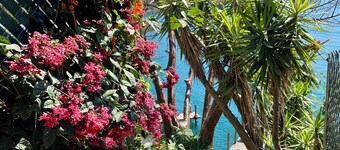 Marvelous brand new, lakefront 2-bedroom house with WiFi in Santa Cruz la Laguna